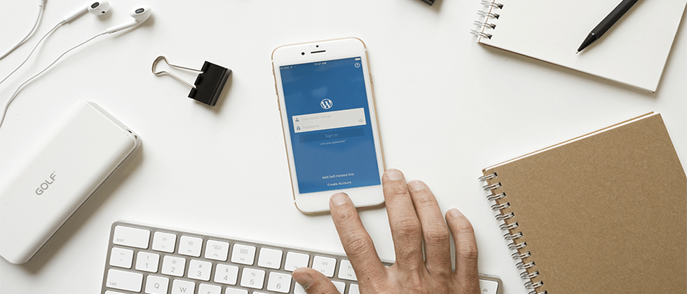 Pourquoi utiliser le CMS WordPress